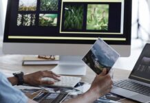 Industria del papel e impresos: adaptación y oportunidades en una era digital