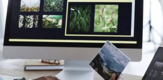 Industria del papel e impresos: adaptación y oportunidades en una era digital